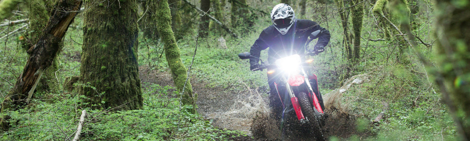 2022 Honda® for sale in Cycle World Powersports, Virginia Beach, Virginia